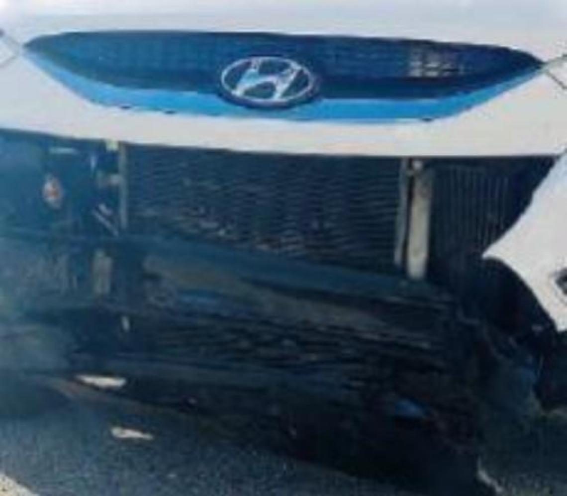 Auto contro cinghiale sulla Sora - Ferentino: animale morto e paura per un giovane