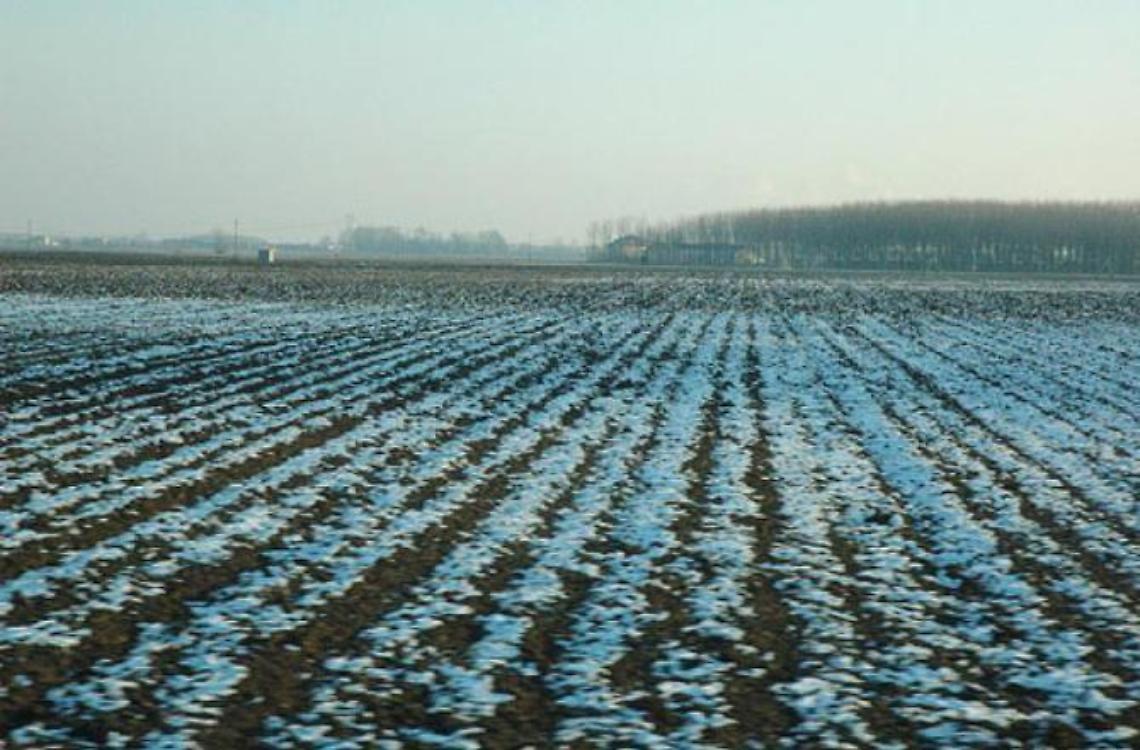 Maltempo, temperature in picchiata: allarme gelo per verdura e ortaggi