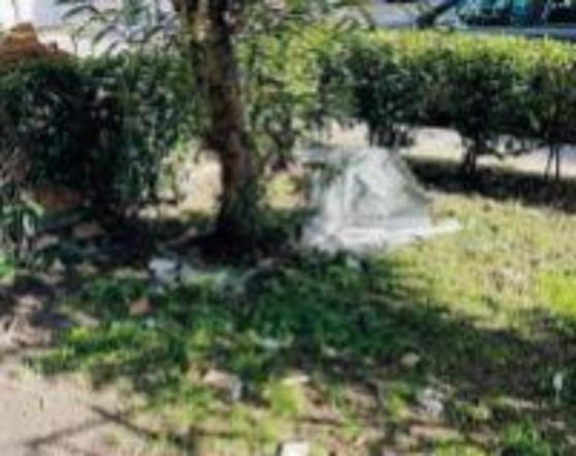 Aiuole e giardini come discariche: la mano dell'inciviltà colpisce ancora