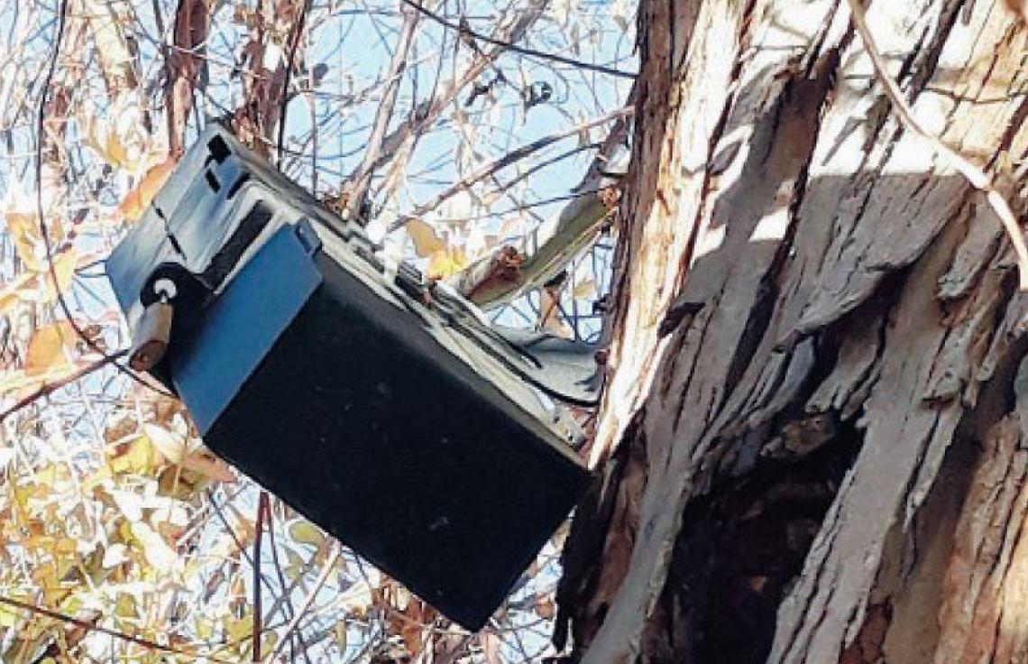 Abbandono selvaggio di rifiuti: nuove telecamere contro i furbetti