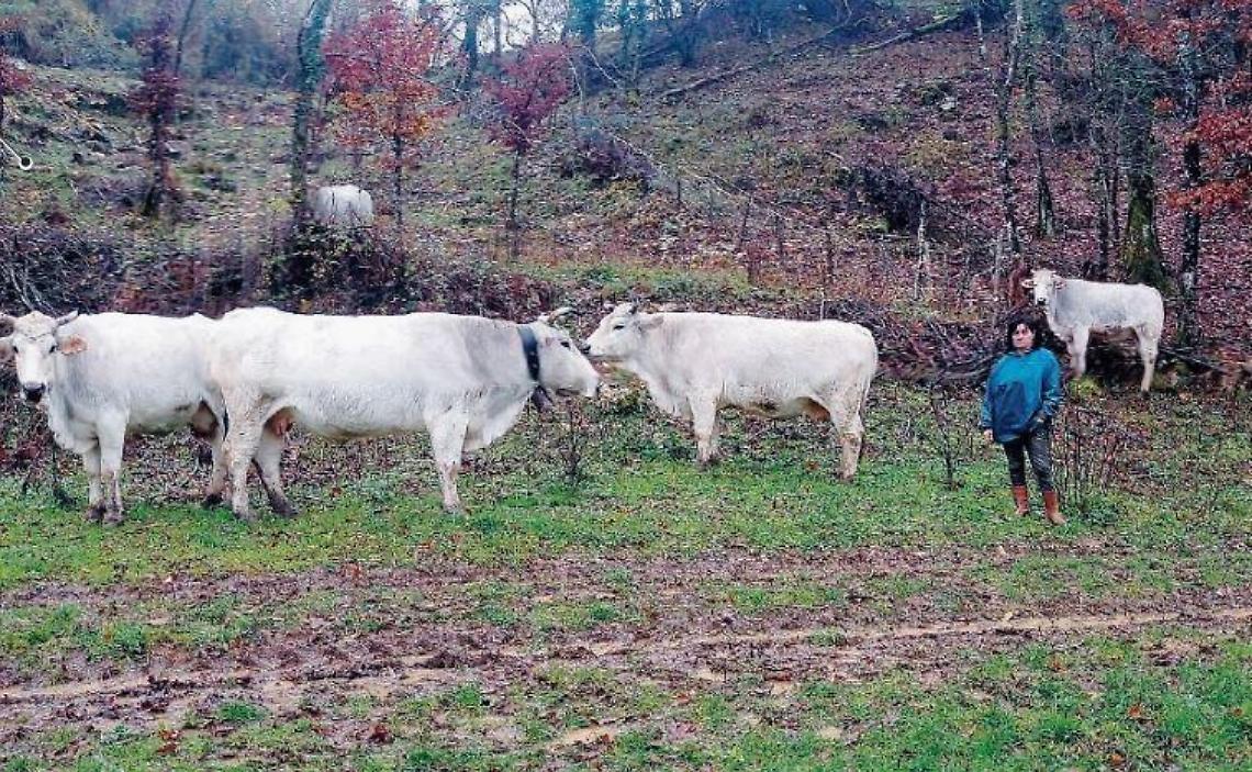Assunta Valente, la pastora perseguitata racconta la sua storia