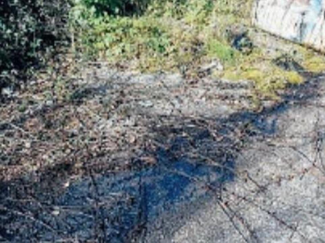 Duecento litri di asfalto liquido inquinante abbandonati sulla superstrada