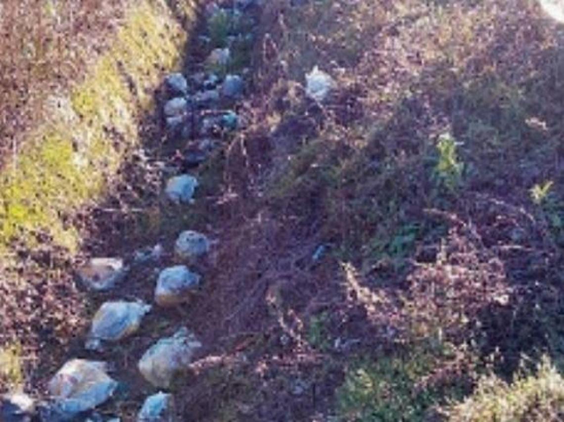Rifiuti abbandonati nelle aree verdi, incivili in azione: la rabbia dei cittadini