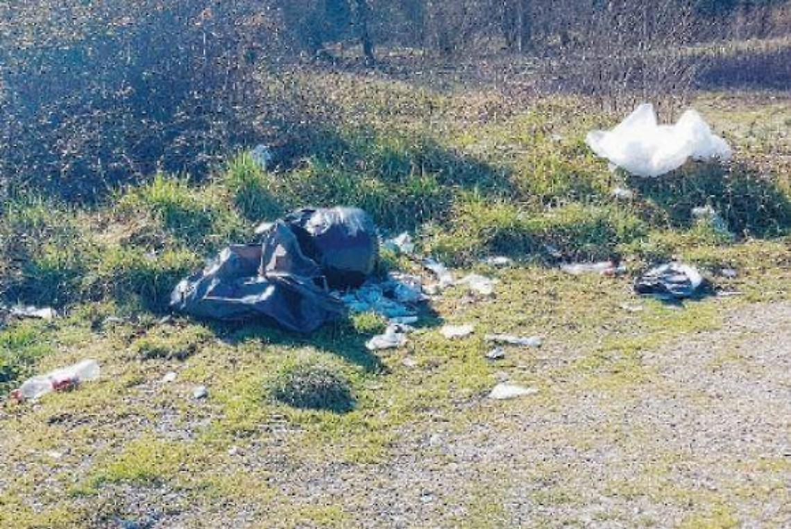 Buste piene di rifiuti e pneumatici abbandonati: lo scempio è servito