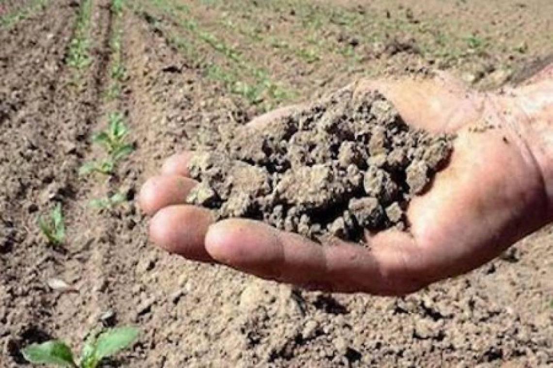 Inverno pazzo, caldo anomalo e piogge dimezzate: la natura va in tilt