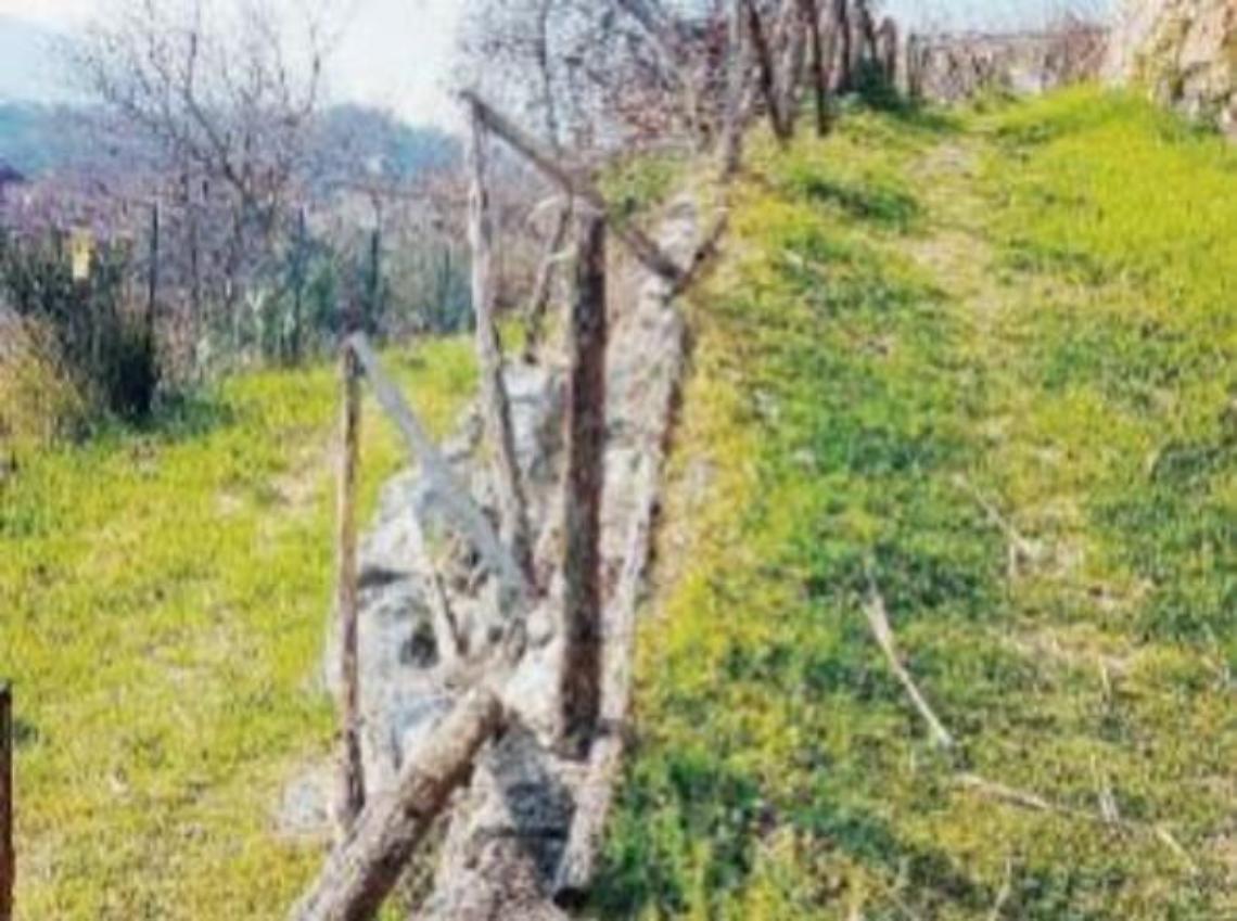 Ladri in periferia e vandali in centro: due case svaligiate e diversi danni
