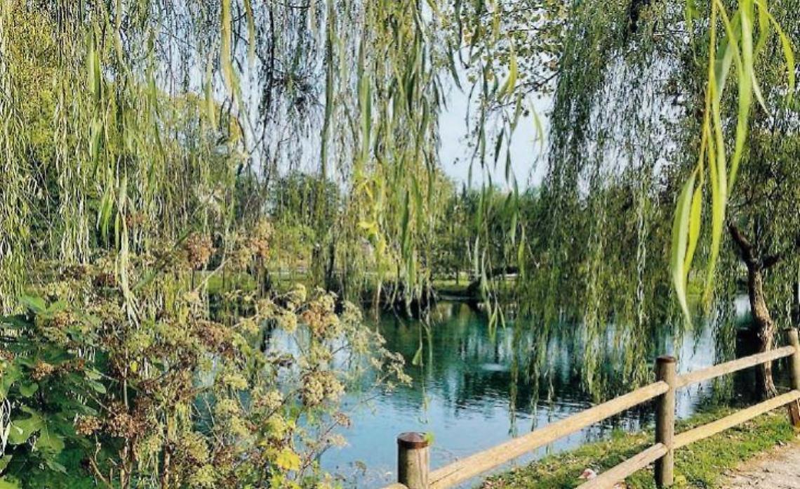 Laghetto Parco dei Mulini, il sogno diventa realtà: c'è l'ok