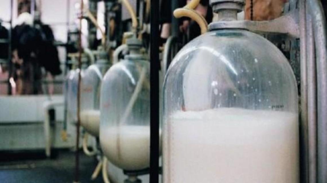 Latte: calo del 10% dei consumi in tutto il Lazio. Si corre ai ripari