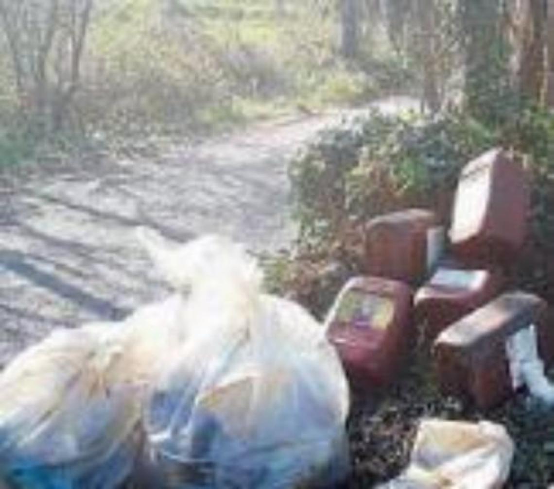Bunker sepolto da rifiuti e arbusti, volontari in campo senza sosta