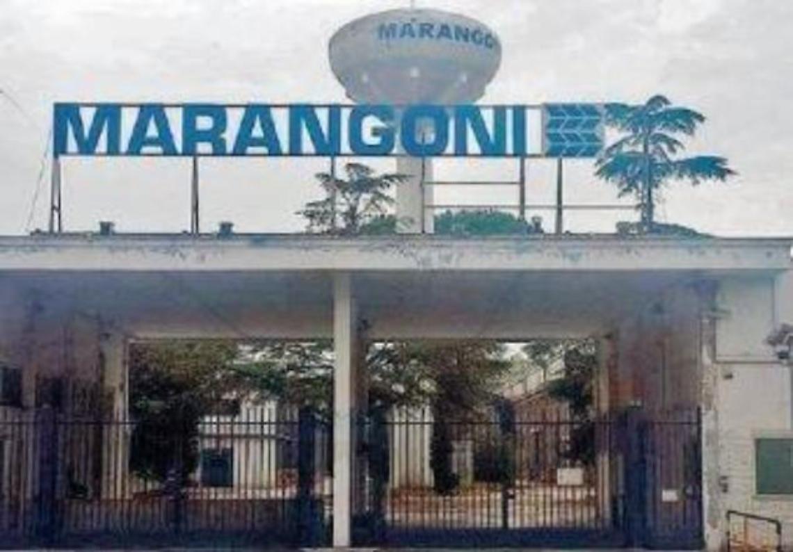 Processo Marangoni, l'epidemiologa : negli ultimi 10 anni tumori in aumento