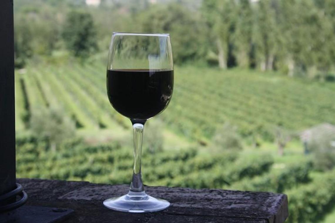 Oltre sessanta cantine per la degustazione del Cesanese