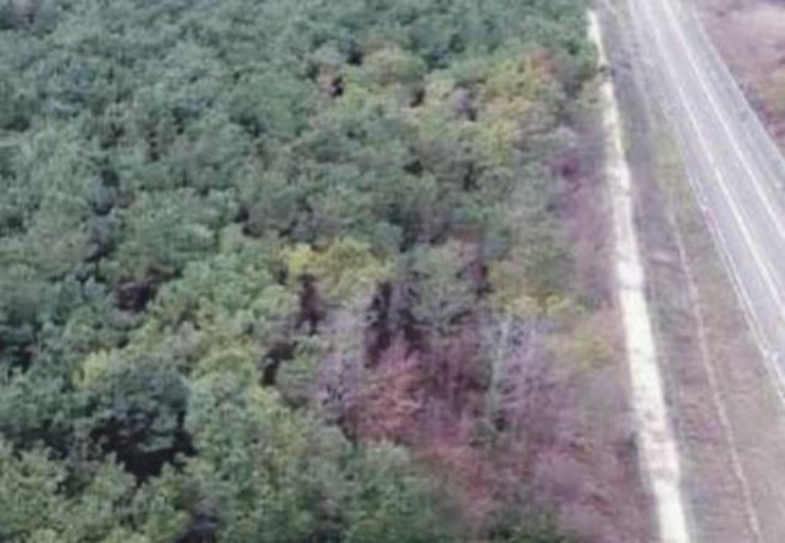 Trovato cadavere nel bosco: Antonio Spada muore a soli 43 anni, choc in città