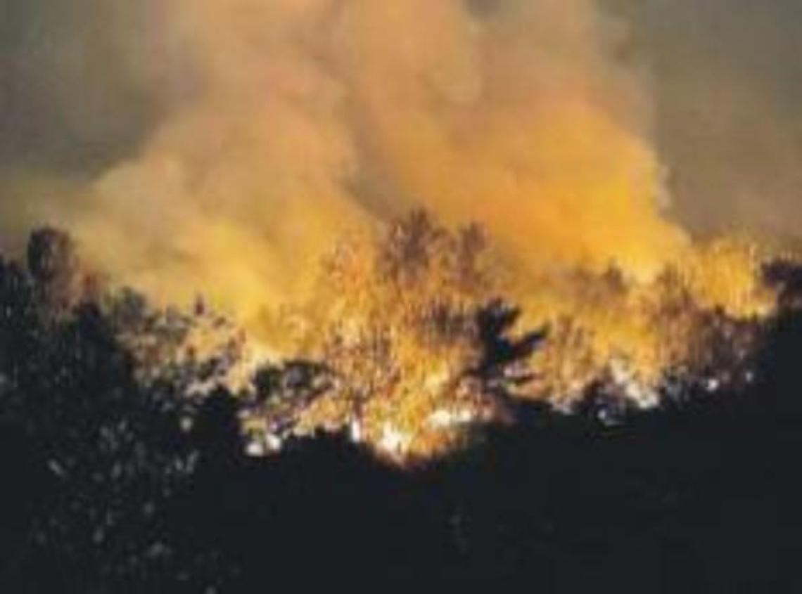 Incendi nei boschi, minacciate le abitazioni: notevoli danni e paura