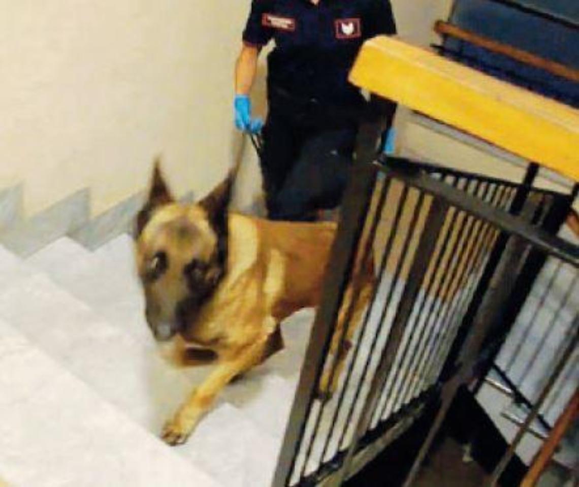 Fiumi di cocaina dal Marocco in Ciociaria: si &egrave; aperto il dibattimento