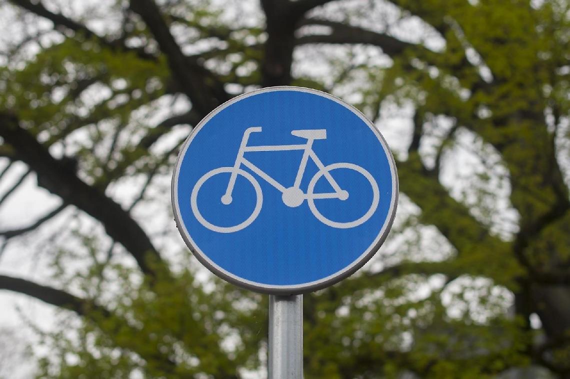 Pista ciclabile: iniziati i lavori. Mobilità green per la bonifica ambientale