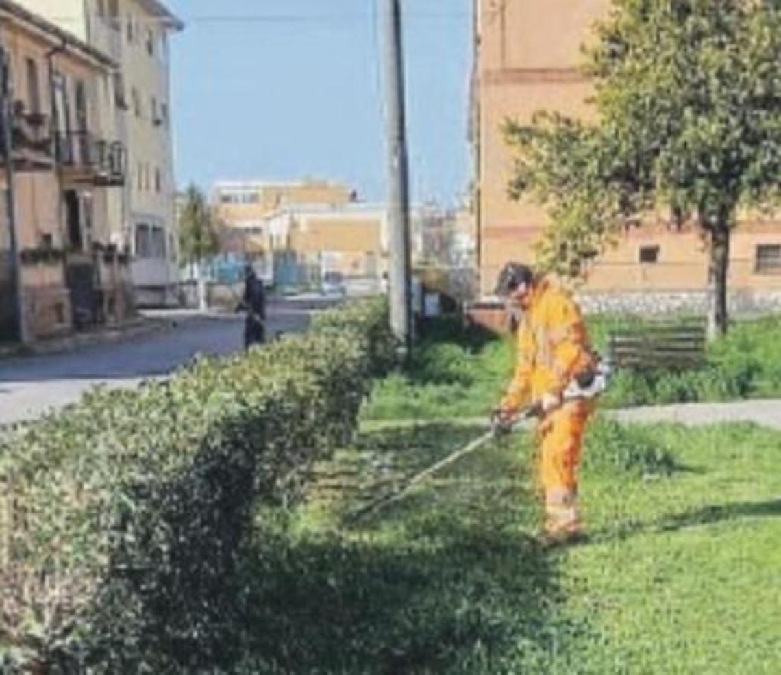 "Sora città pulita", Di Stefano posta gli interventi sul verde: pioggia di like