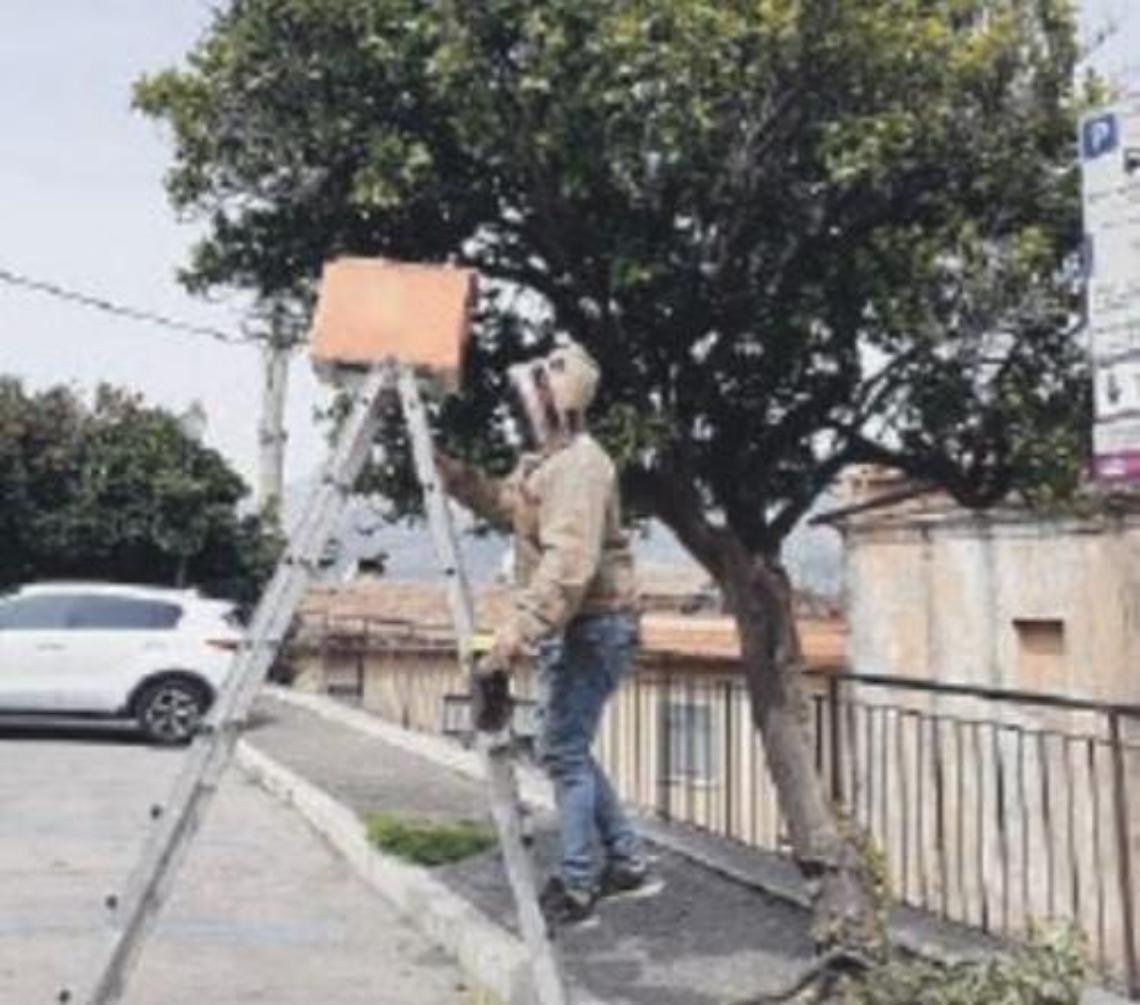 Sciami di api in centro città: eseguiti importanti interventi