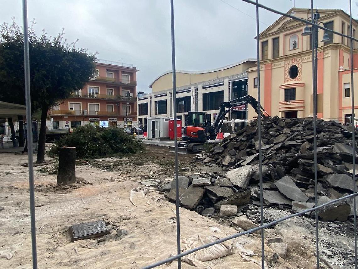 Lavori in piazza Diamare, la polemica sugli alberi non si arresta