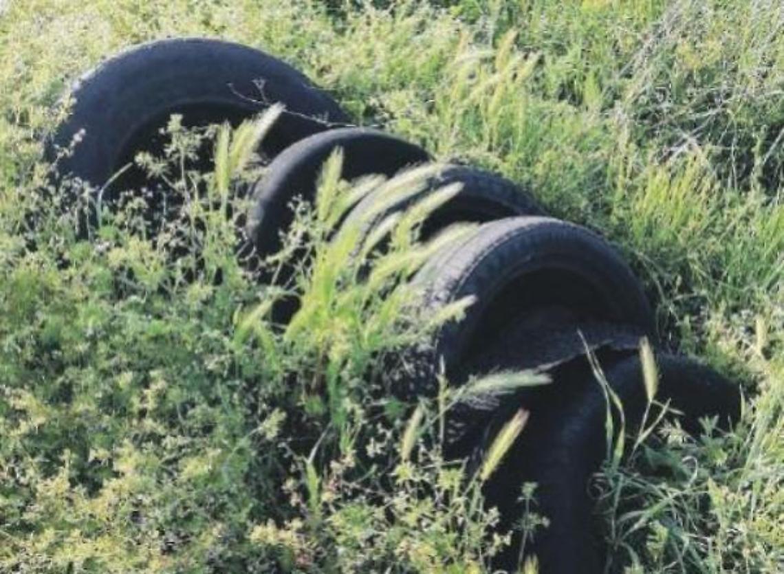 Discarica abusiva nella zona Asi. Numerosi pneumatici abbandonati