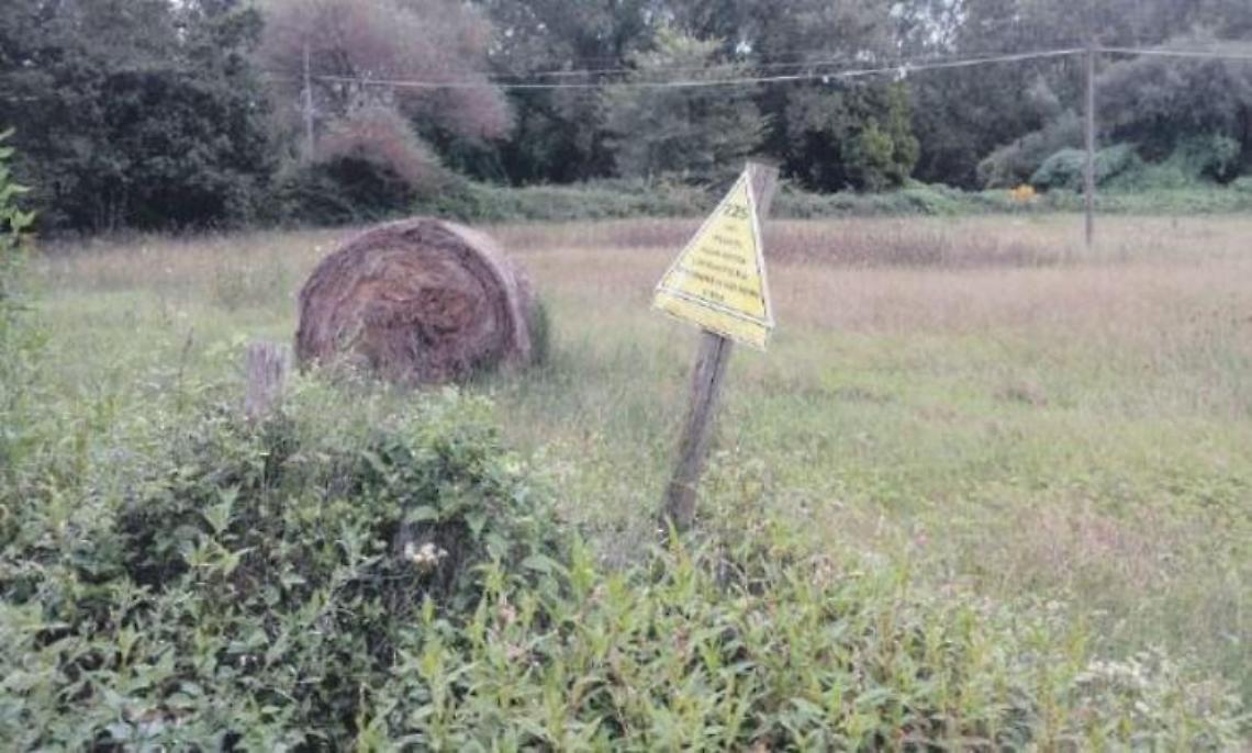 Sin Valle del Sacco, «Deperimetrare subito l'area per attrarre investimenti»
