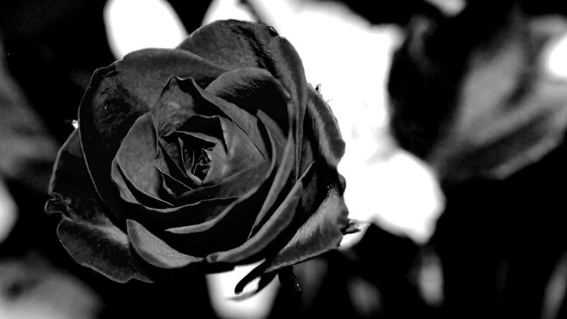Nota professionista trovata senza vita: dolore in città. Fissati i funerali