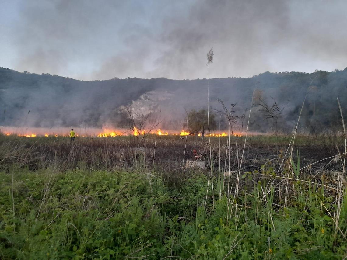 Incendio a Carpello, un canneto in fiamme: vigili del fuoco in azione