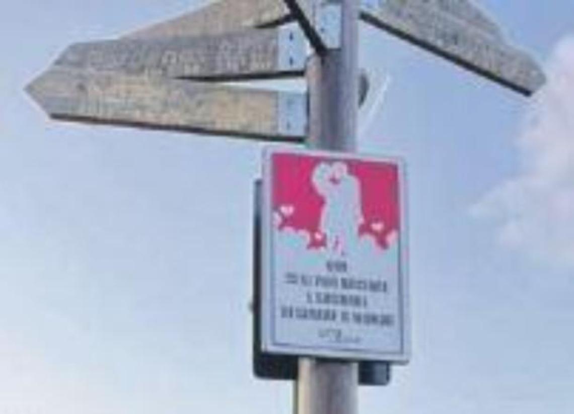 I "Topini randagi" attivi per rilanciare il turismo locale