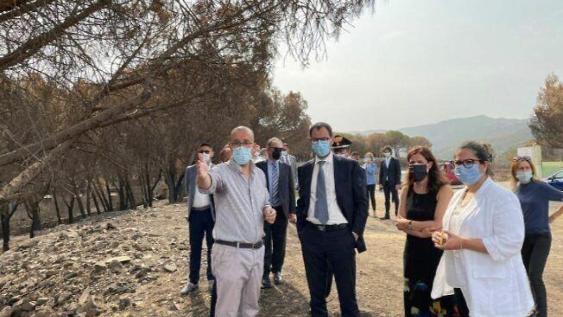 "Germogli di Legalità", un albero per Falcone con il ministro Stefano Patuanelli
