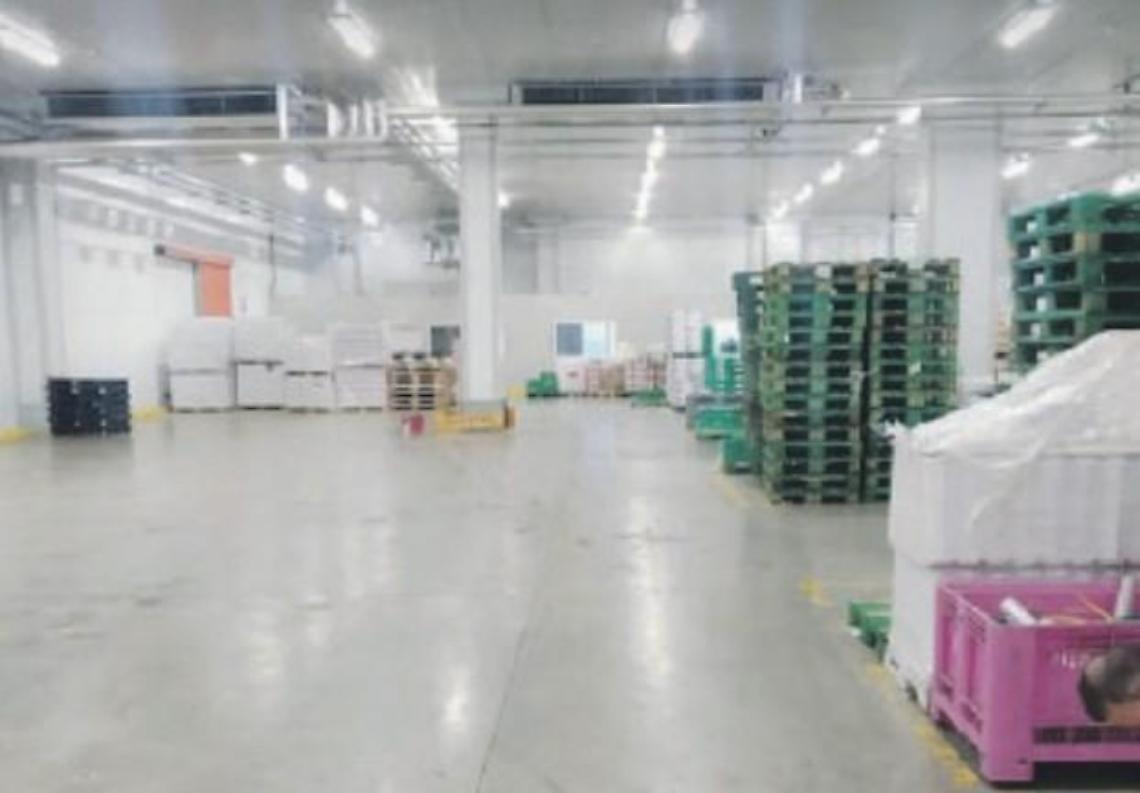 Tm Logistica, in 150 a un passo dal licenziamento. La Ugl annuncia battaglia