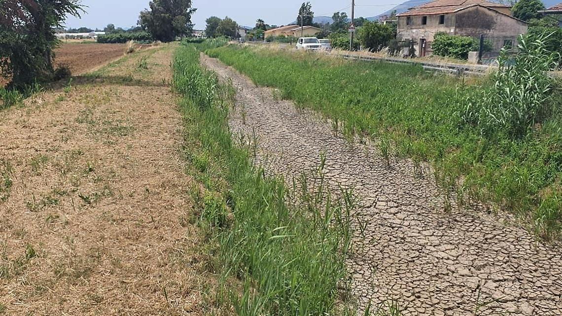 Siccità, acqua razionata. L'allarme di Coldiretti: «Aggravio dei costi per gli agricoltori»