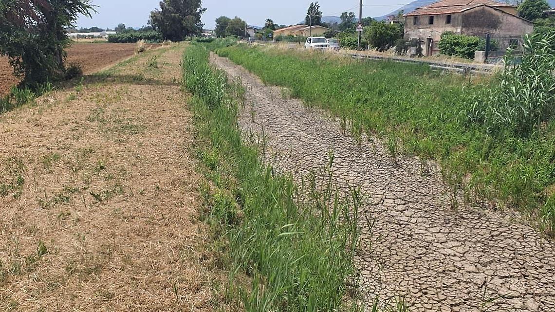 Temperature roventi, il 2022 è l'anno più caldo di sempre