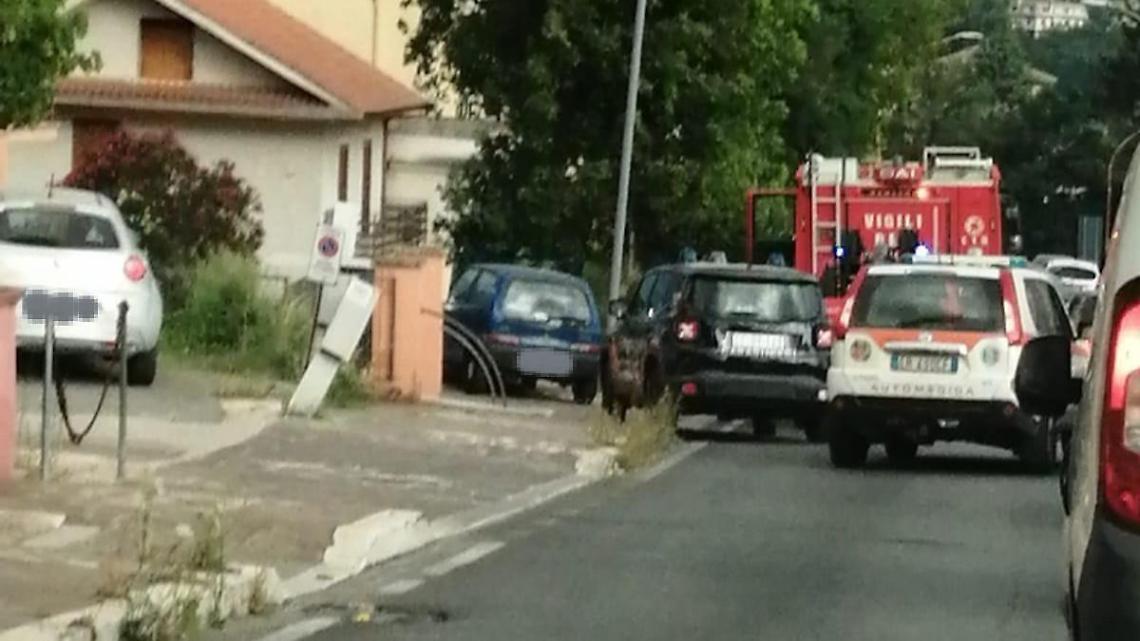 Cade un albero in strada e colpisce un'auto: l'incidente