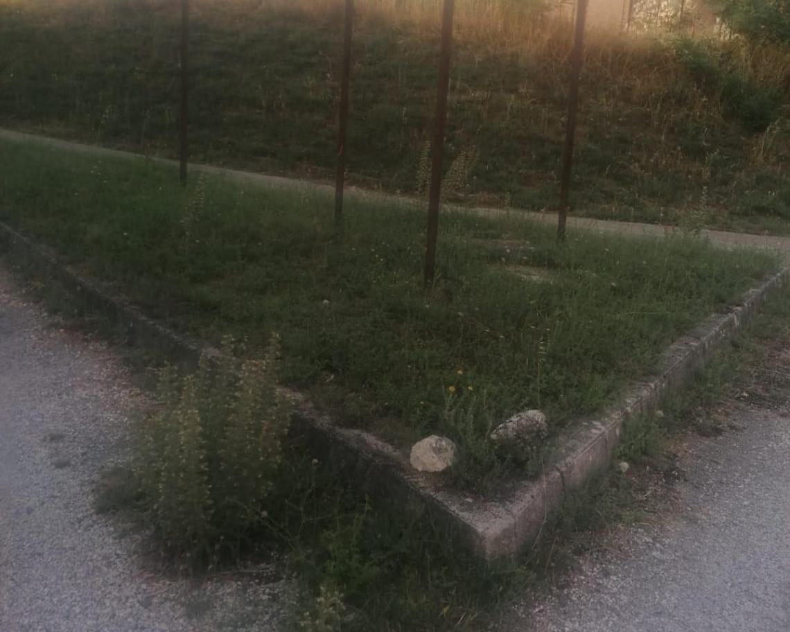 Incuria e mancanza di decoro: famiglie “ostaggio” del degrado