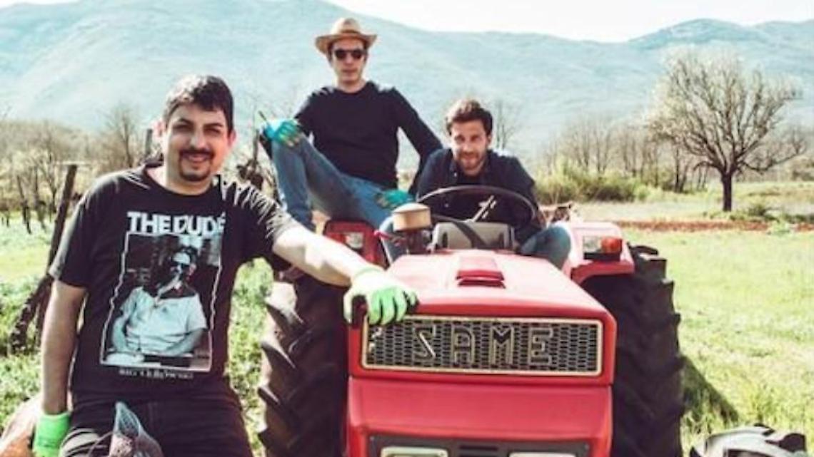 Siccità e caldo estremo, anche per il vino biologico si chiude in perdita