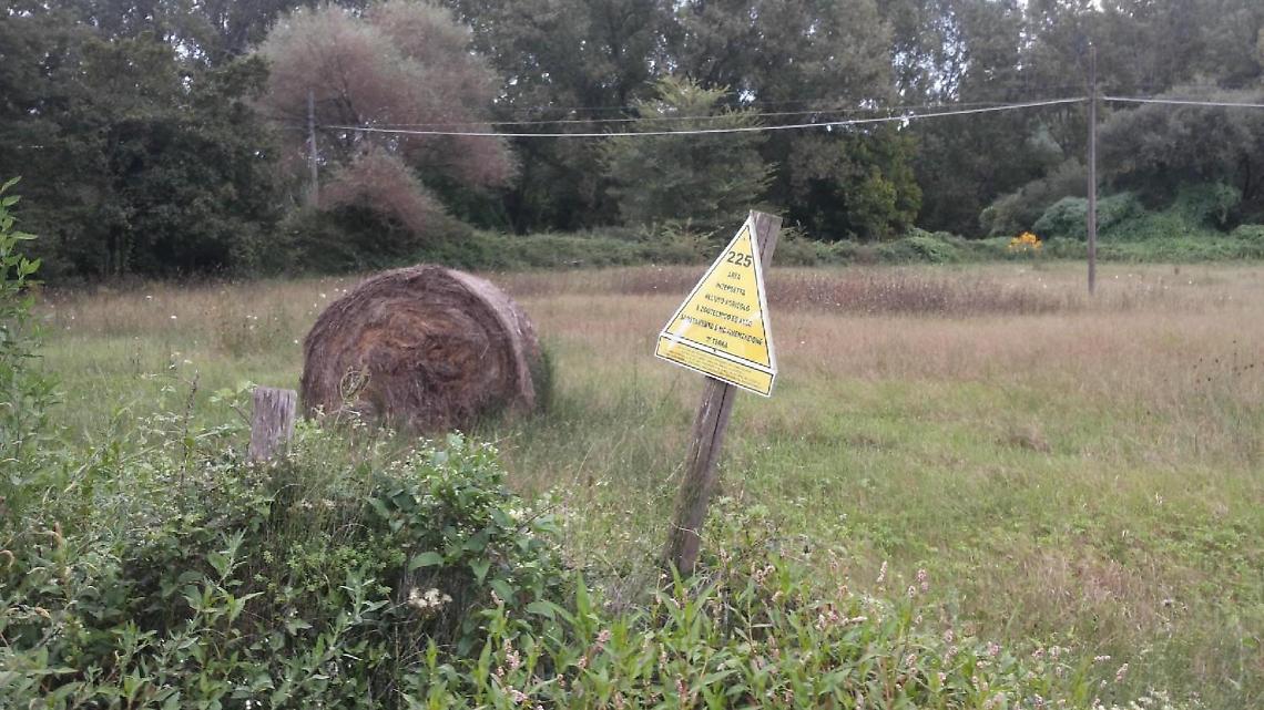 Sin, non tutto è contaminato