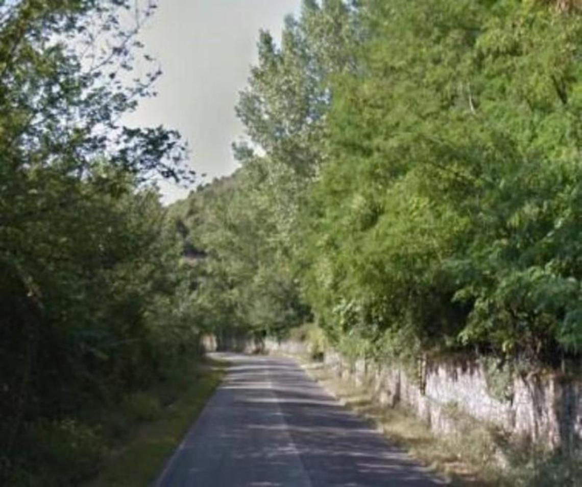 Trovato senza vita nel bosco. Il corpo rinvenuto dai carabinieri