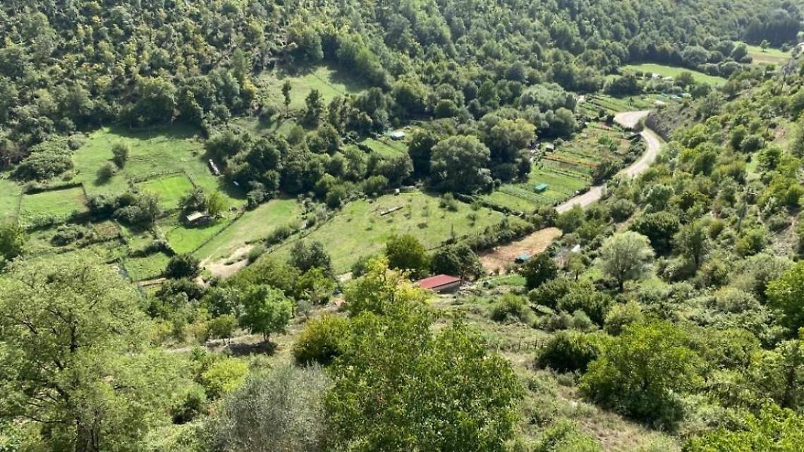 Intossicati nel camping. Sono attese le analisi dell'Asl