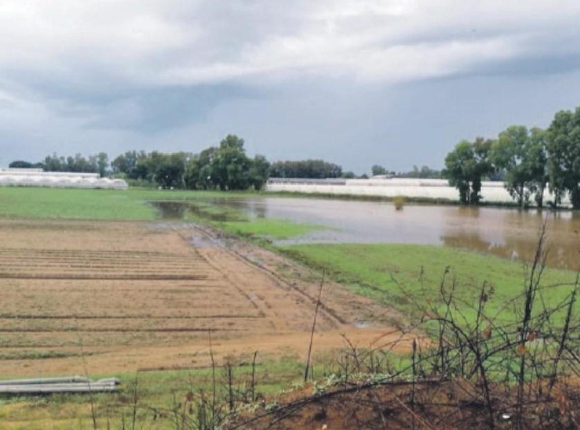 Troppi eventi estremi legati al clima. Danni alla campagna