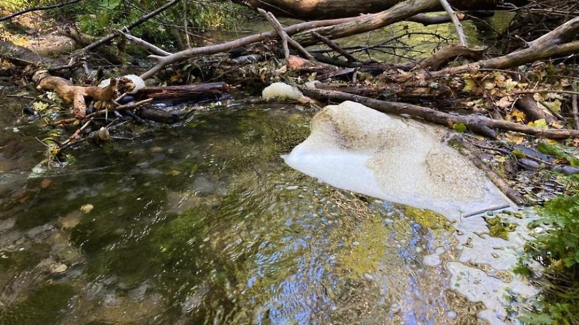Appare schiuma nel fiume Aniene: nuovi dubbi sulle intossicazioni