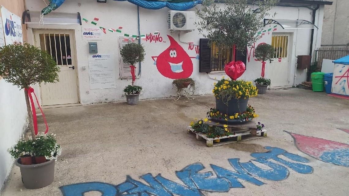 Emergenza sangue in città. L'appello dell'Avis: «Invertiamo il trend»