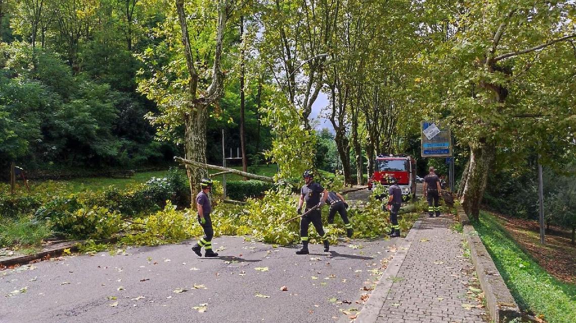 Maltempo, «la Regione si muova per lo stato di calamità naturale»