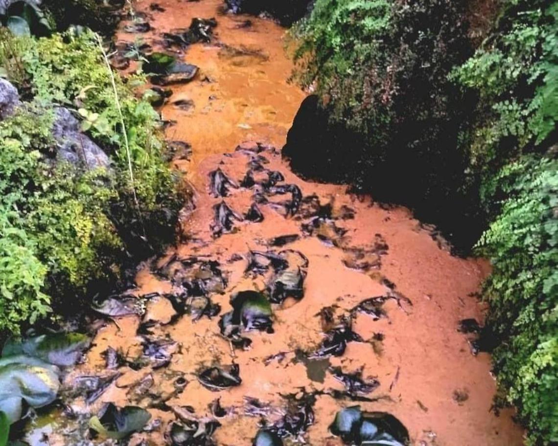 Acque rosse in centro, nuovo appello. Si chiedono interventi rapidi e mirati