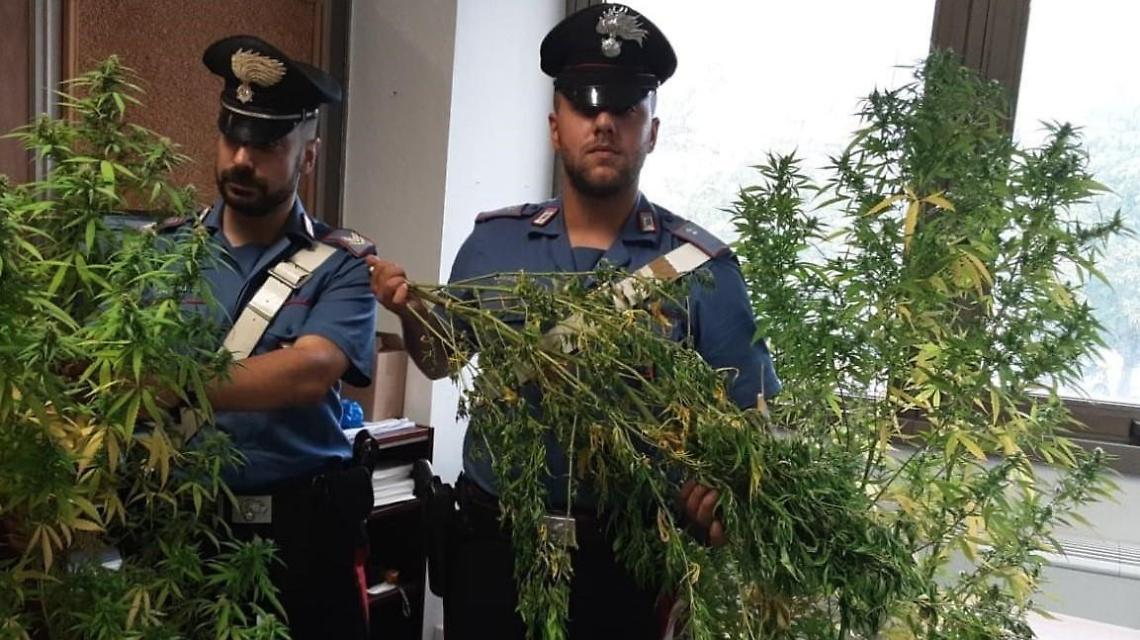 Furto al centro commerciale e spaccio di droga: due arresti in poche ore