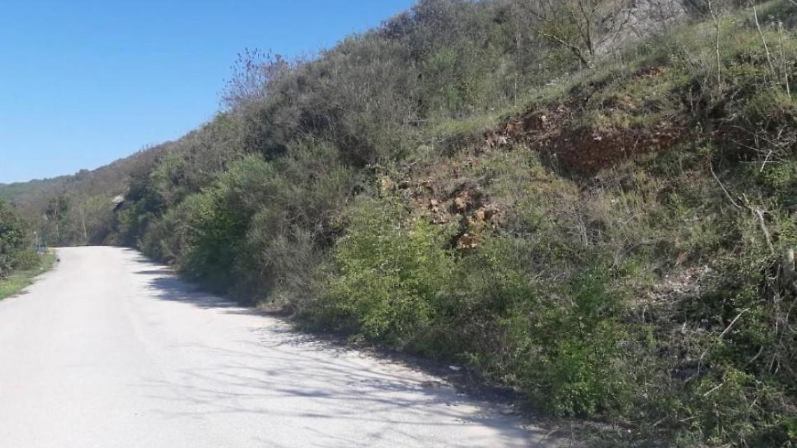 Americo Tullio fu ucciso dai cani mentre era in cerca di asparagi: l'udienza
