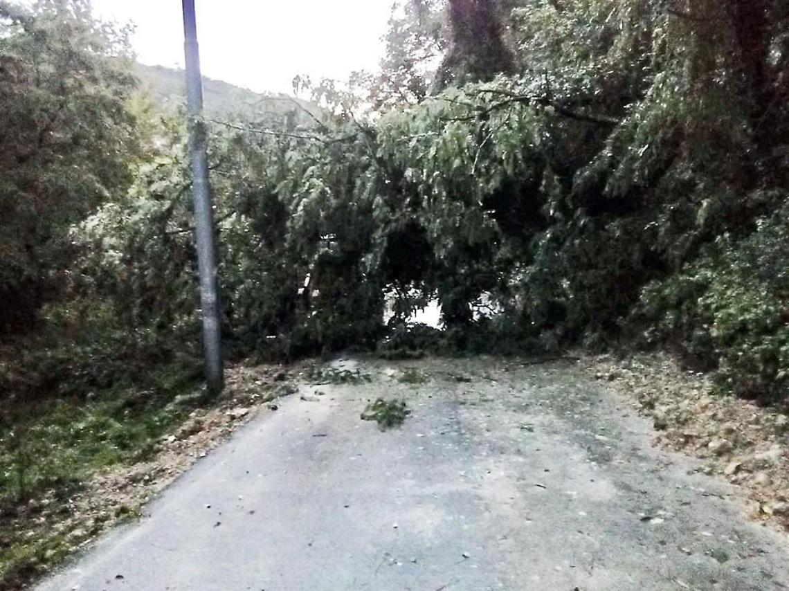 Acqua, vento e fulmini. Il maltempo continua a causare danni e disagi