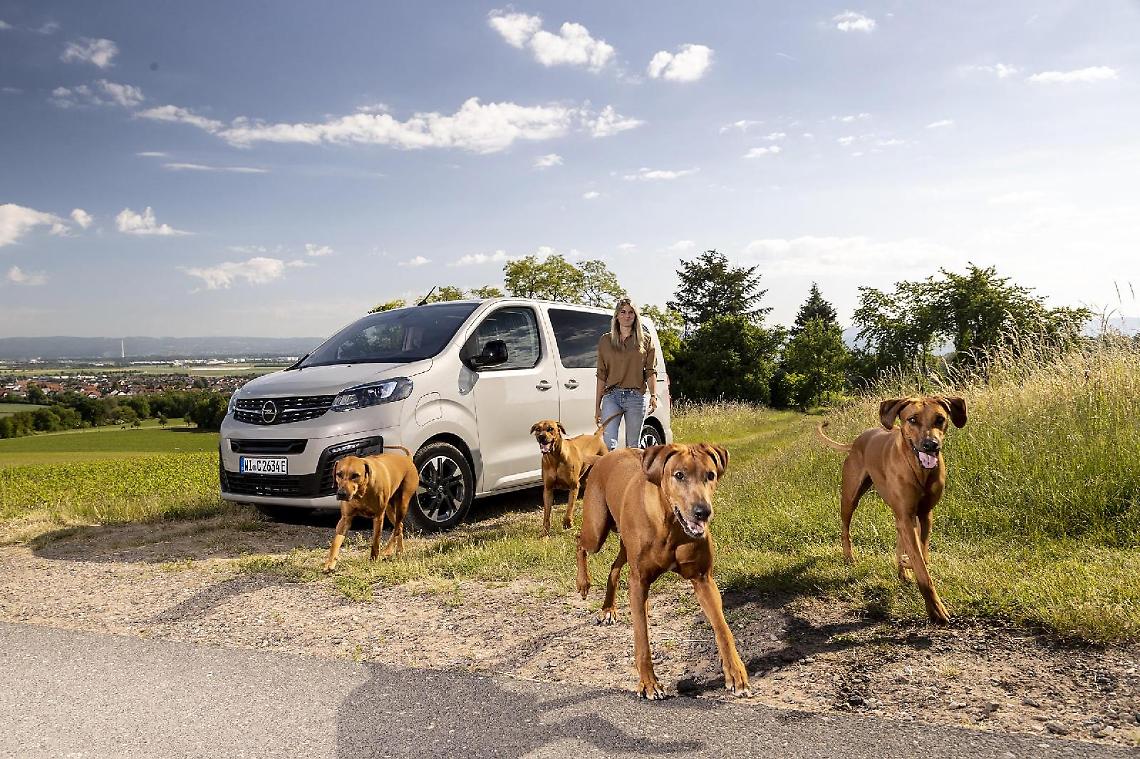 Opel Zafira-e Life, l'amica fidata di Fido. L'ideale per chi ha bisogno di spazio