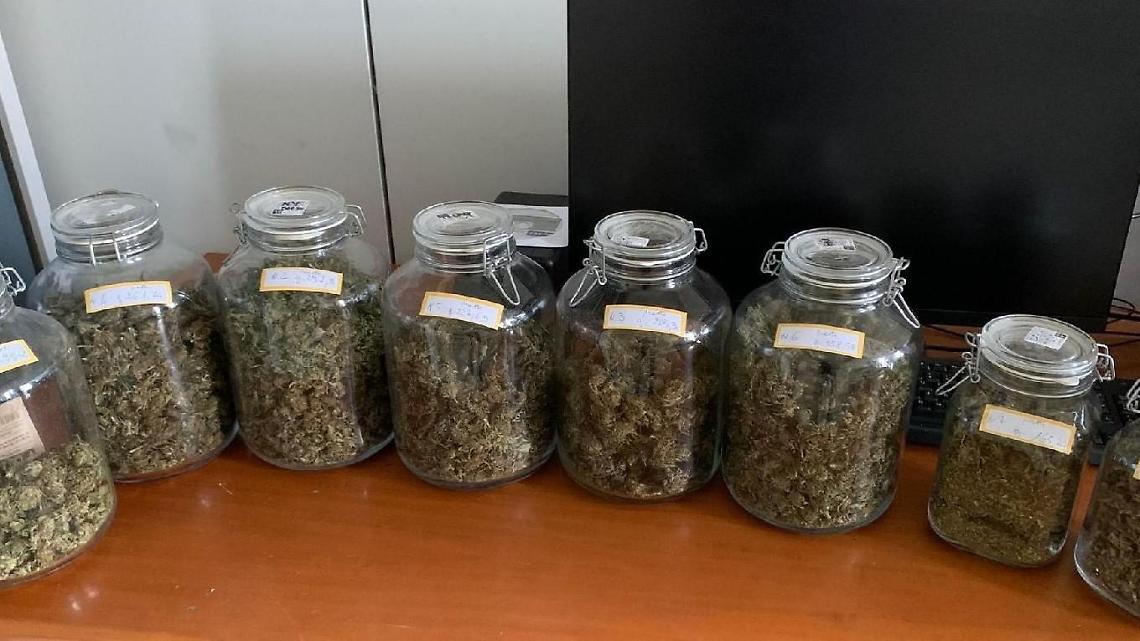 Chili di marijuana in casa. Trentasettenne finisce ai domiciliari