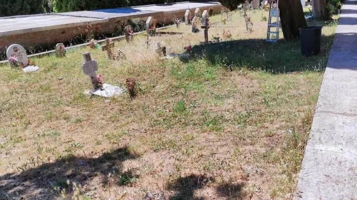 Scarsa manutenzione al cimitero. E allora ci pensano i volontari