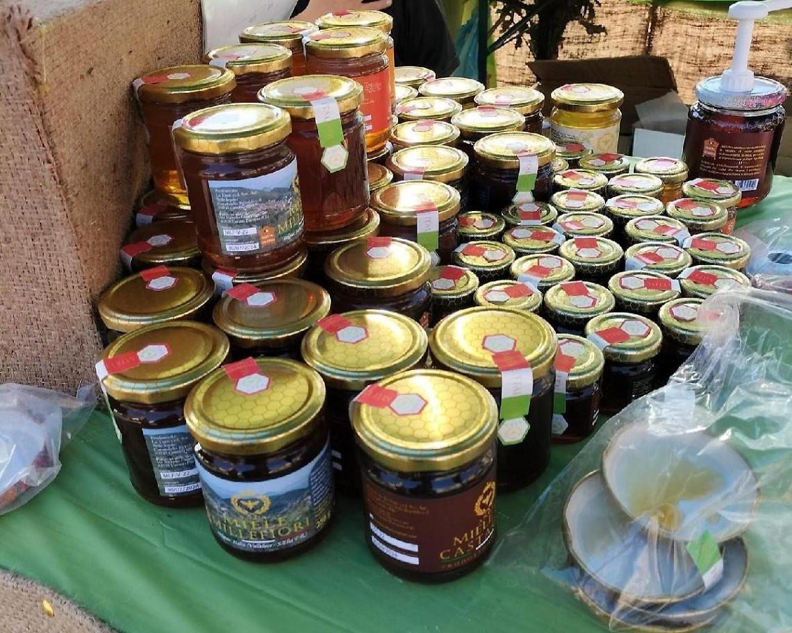 Straordinaria sagra d'autunno: ieri la benedizione e l'apertura