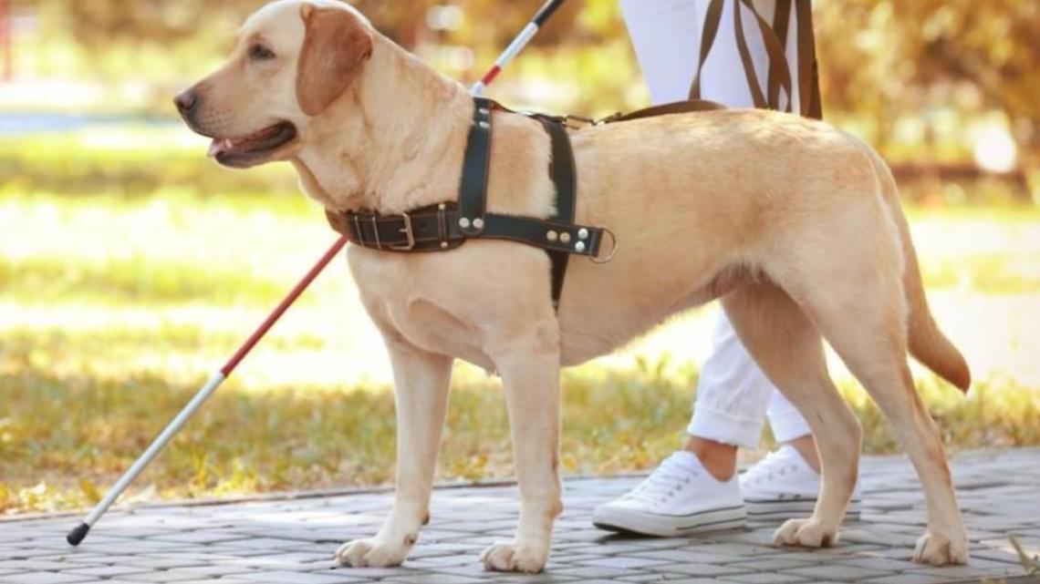 Ragazza non vedente cacciata fuori dal supermercato. Dure le reazioni